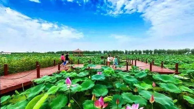 农民专业合作社年报常见问题