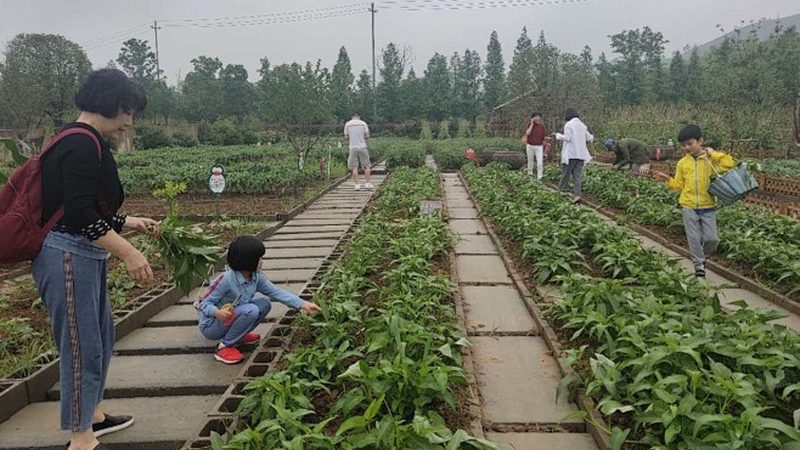 行业背景：从“最后一公里”到“最后一百米