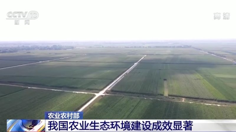 种植结构是农业项目规划书中的核心内容。在规划种植结构时，要遵循以下原则：