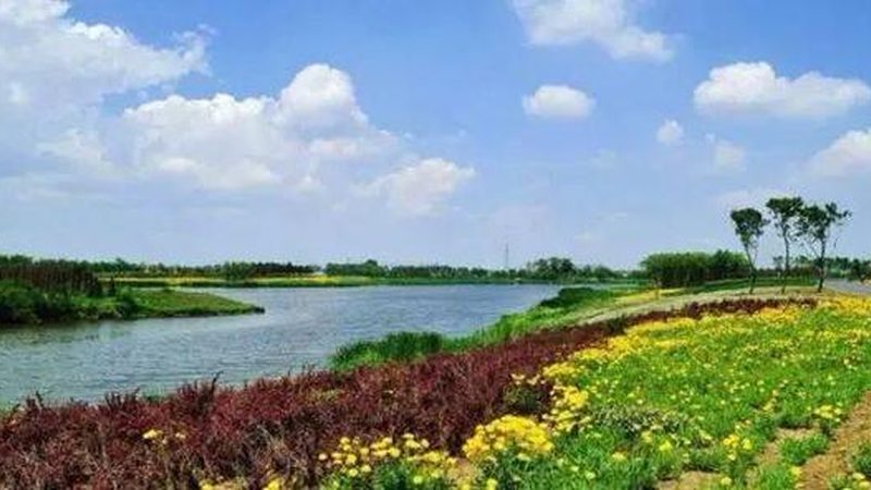 山东种粮大户的土地流转账本：价格波动背后藏着什么