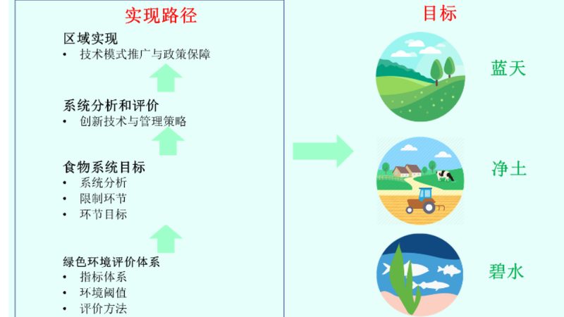有机种植大棚：规格参数揭秘，助力绿色农业发展**