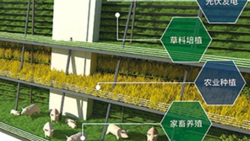 上海生鲜配送公司排名背后的行业考量