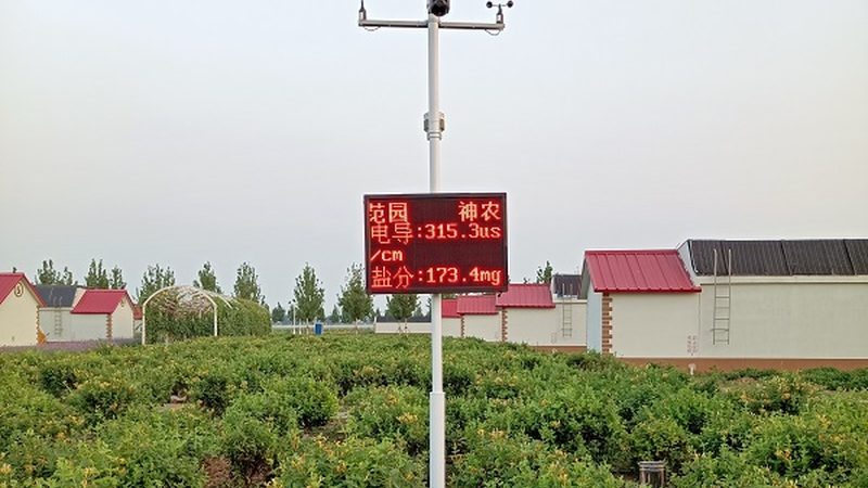 农业观光园规划设计与施工：打造生态旅游新亮点