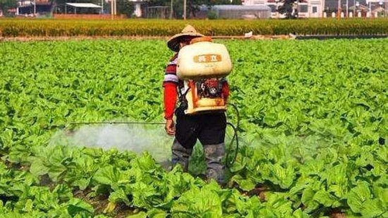 山东农资价格波动背后的市场逻辑**