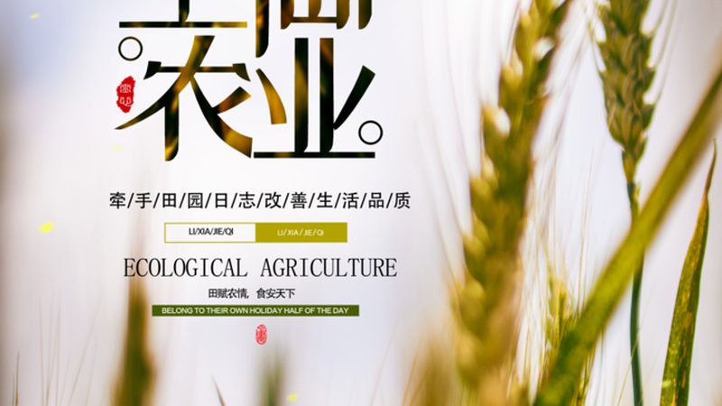 智能温室设施农业到底有哪几种主流类型